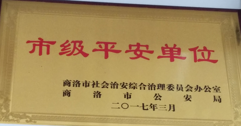市級平安單位